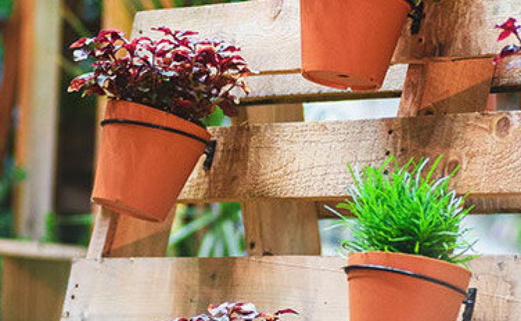 Woodworking Projects for Beginners Using Pallets