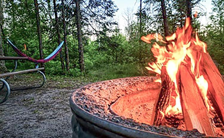 Leave firewood at home