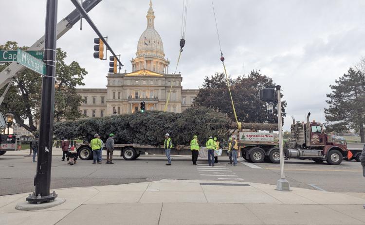 Local business delivers state Xmas tree to Capitol