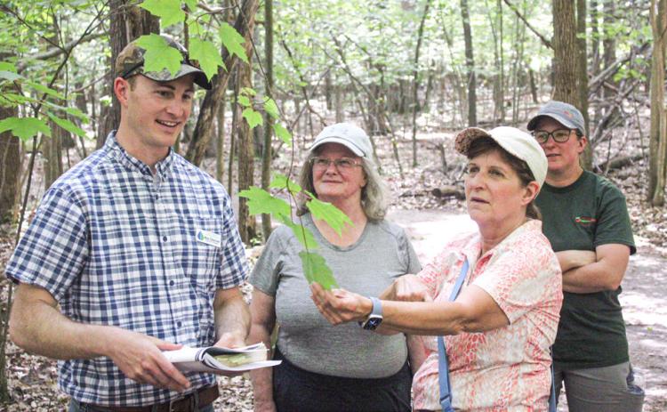 New local forester Mike Dittenber leaves nothing to chance when helping people identify a leaf at the Gladwin County Recreation Area last week.