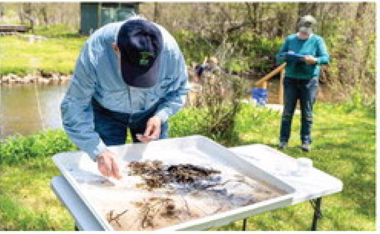 Volunteers collecting macroinvertebrates samples to be used to determine water quality.