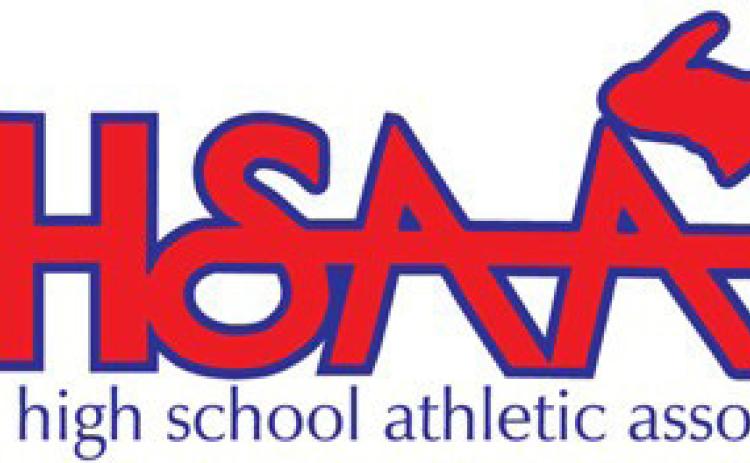 MHSAA girls wrestling District, Regional team titles headline winter additions