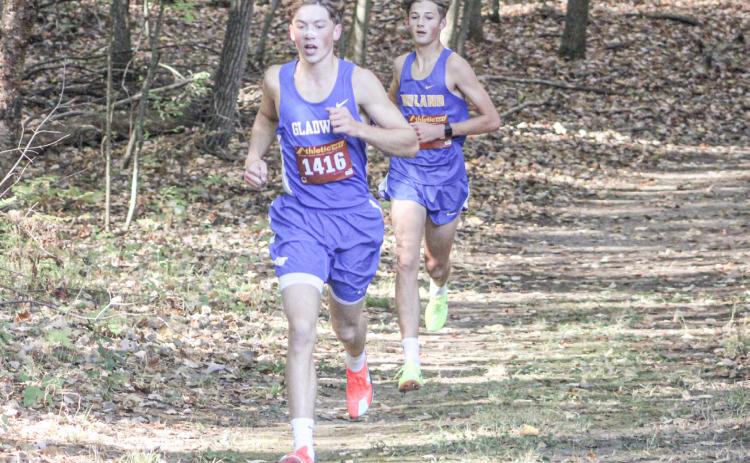 Seth Mead ran off with the gold medal in a school record time of 15:25.8 at the Northern Michigan Meet of Champions in Cadillac.