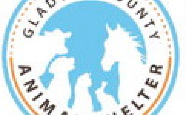 Gladwin County Animal Shelter  seeks new Advisory  Committee Members
