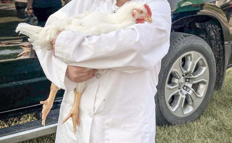 4-H broiler chicken contest