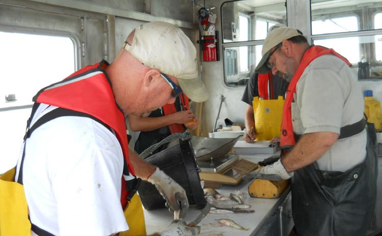 DNR shares fisheries survey findings