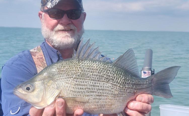 World champ reels in state-record white perch