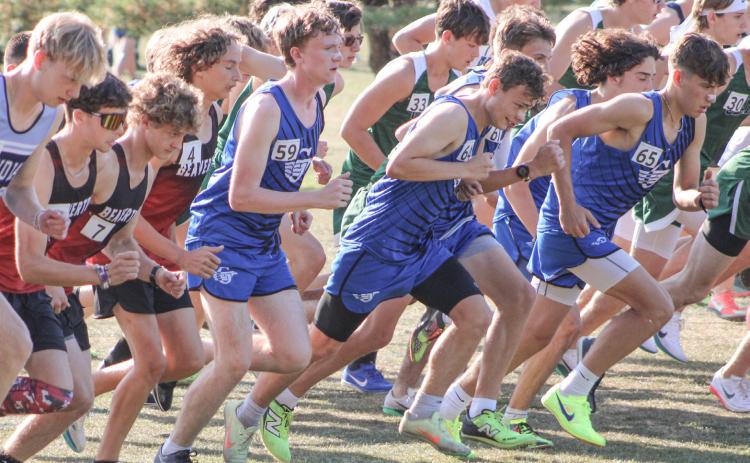 The cross country season will come to a head this weekend as both Beaverton and Gladwin will compete in regionals for a chance to advance to the state meet.