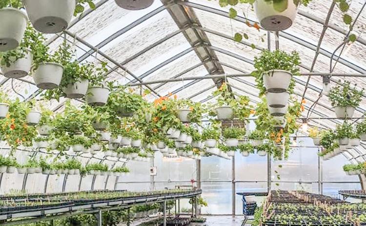 GHS Plant Sale upcoming