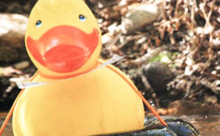 Hospice of Gladwin Area celebrates Great Cedar River Duck Race