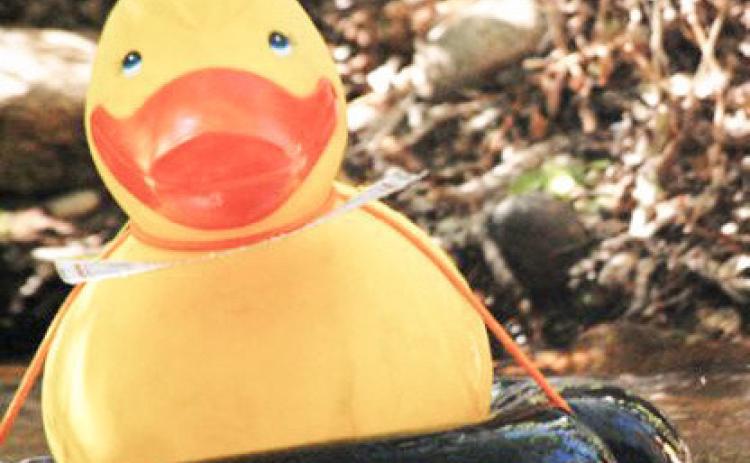 Hospice of Gladwin Area celebrates Great Cedar River Duck Race