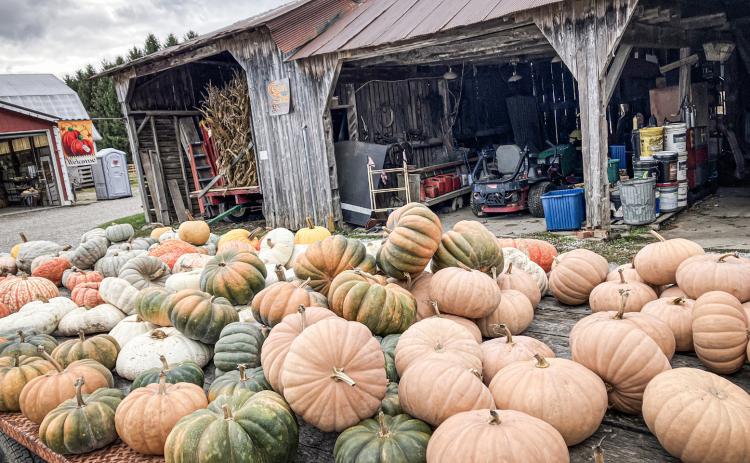 Maxwell’s Pumpkin Farm closing after 53 years