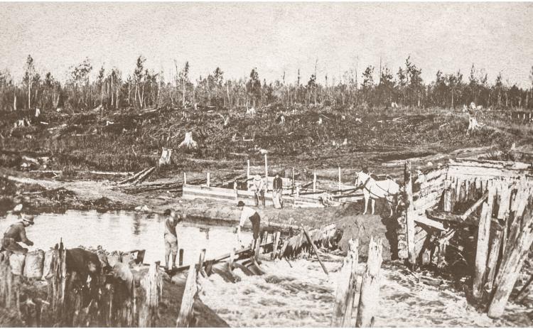 A LOOK BACK IN TIME | RIVER HOGS