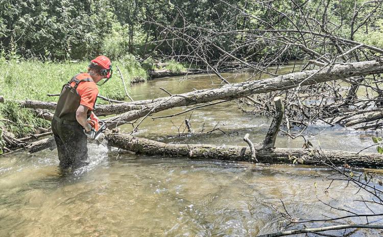 GCD clears Cedar River from Buckeye Trailhead to Ross Lake
