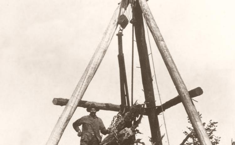 A LOOK BACK IN TIME | STUMP REMOVAL