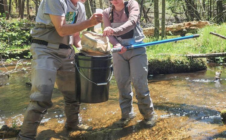 Citizen scientists test Cedar River water quality