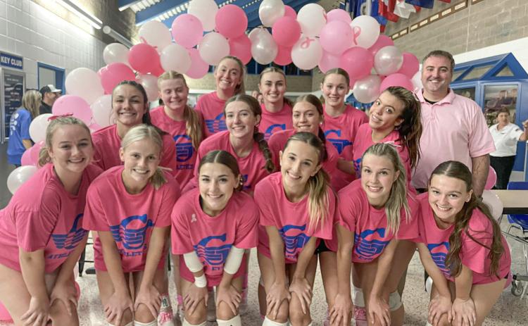 DIG PINK EVENT RAISES FUNDS