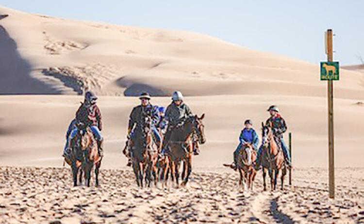 Shoreline horseback riding registration at Silver Lake now open