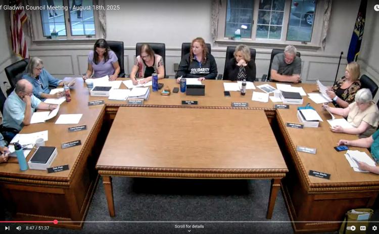 Gladwin City Council zips through Agenda
