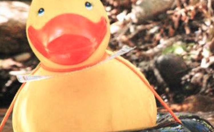 Duck Race July 12