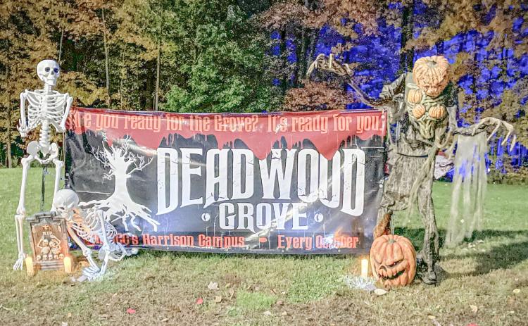 Deadwood Grove set to return at MMC Harrison campus