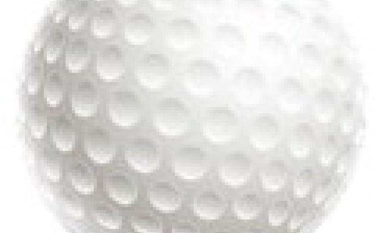 Gladwin golf team just misses the cut for state tourney