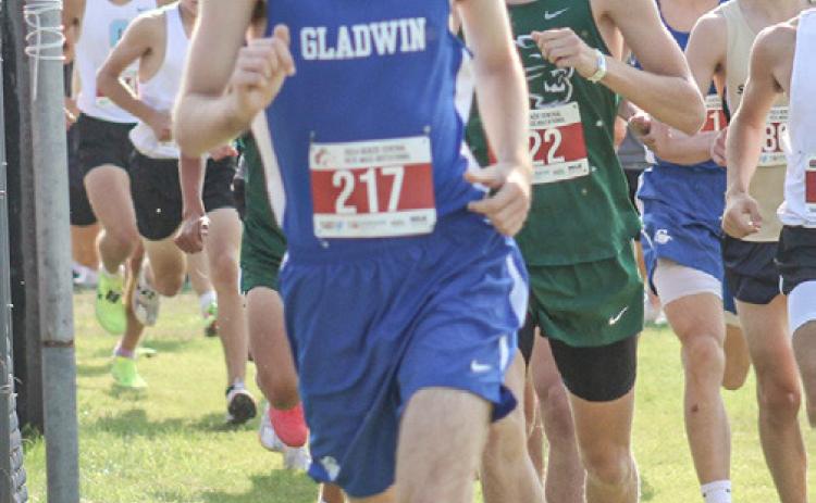 Gladwin’s Christensen breaks school record at cross country opener
