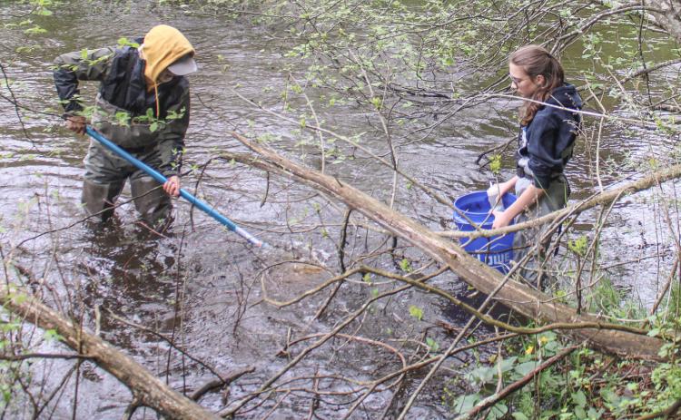 Volunteers help test Cedar River water quality