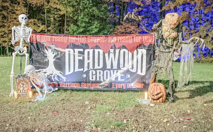 Deadwood Grove set to return at MMC Harrison campus