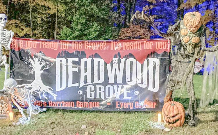 DEADWOOD GROVE SET TO RETURN