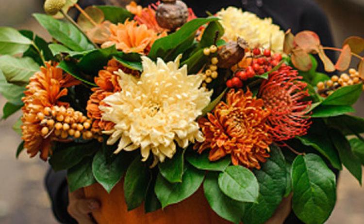 8 Flowers That Grow & Bloom in Fall