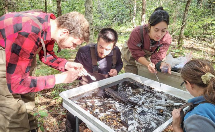The Little Forks Conservancy works to permanently protect and improve natural environments in mid-Michigan by leading and inspiring actions that conserve vital habitats and waterways for the benefit of our entire community.