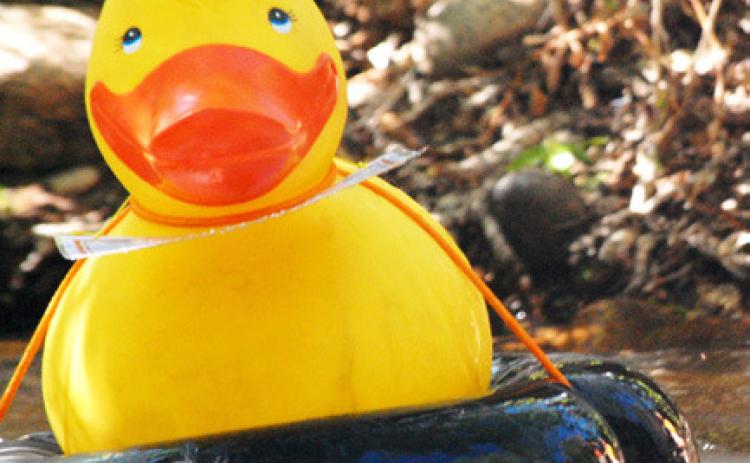 Great Cedar River Duck Race slated